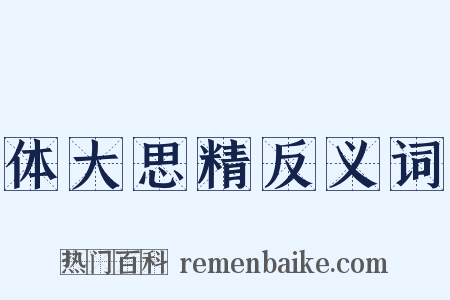 体大思精反义词是什么意思的图片